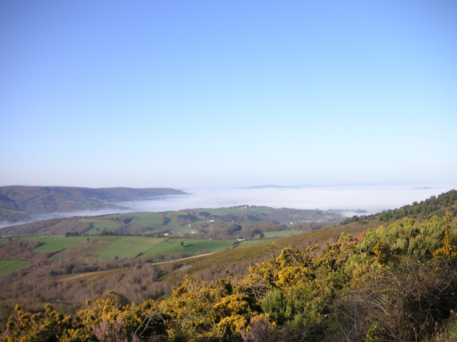 hügelmitnebel2