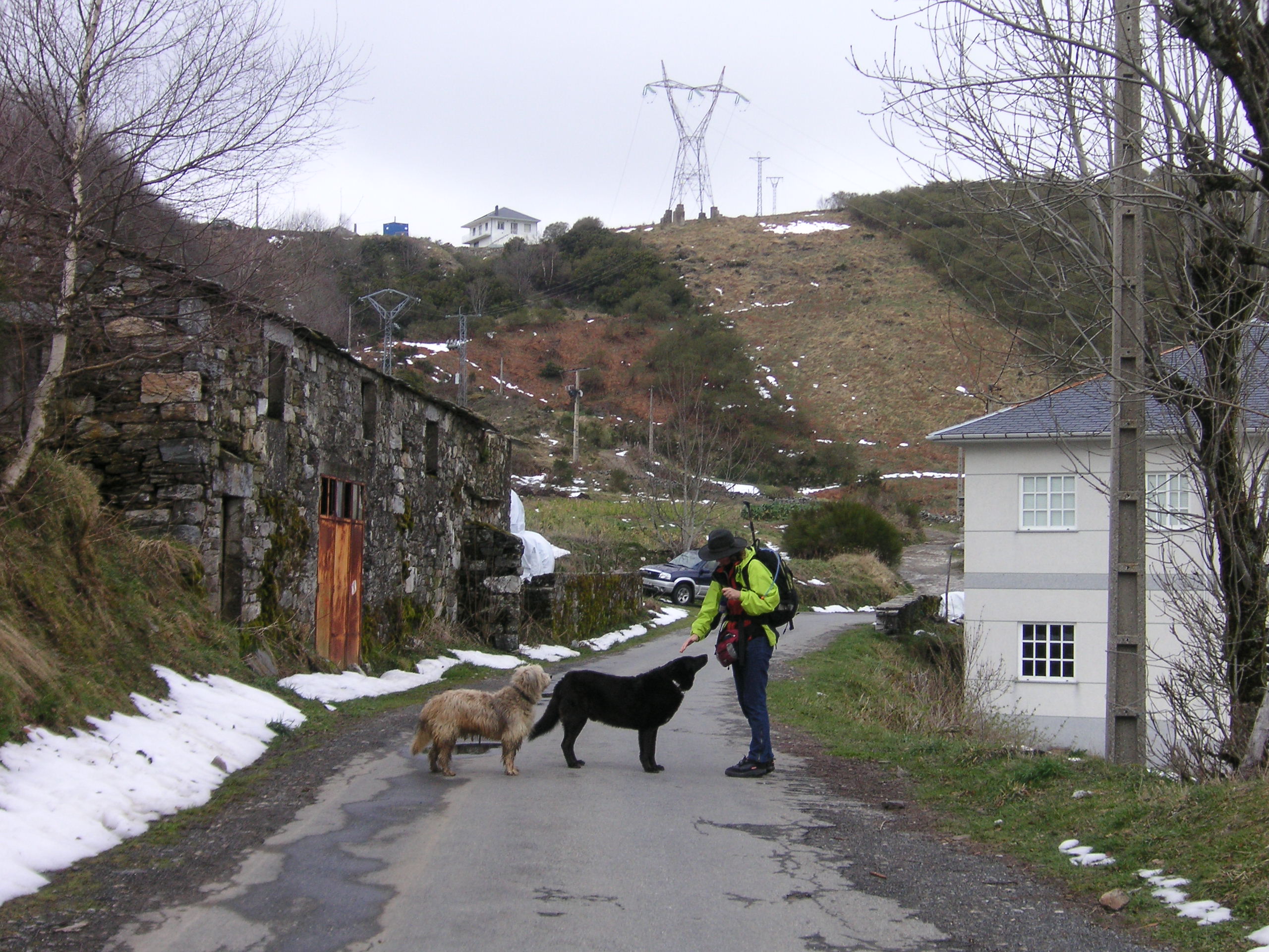 silke&hunde1