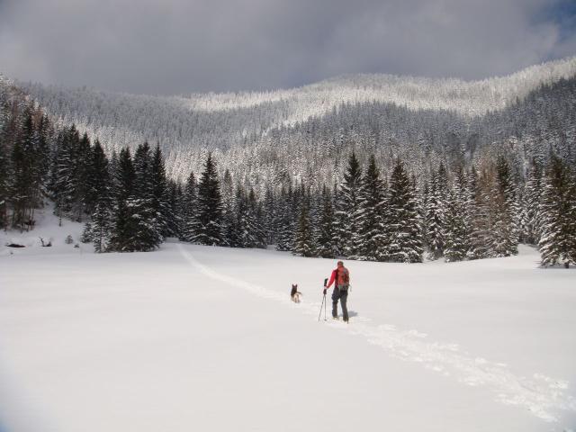 Preineckkogel (10).JPG