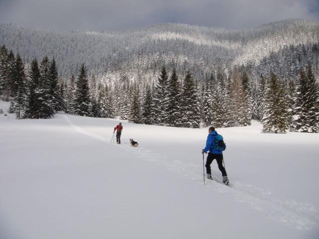 Preineckkogel (12).JPG