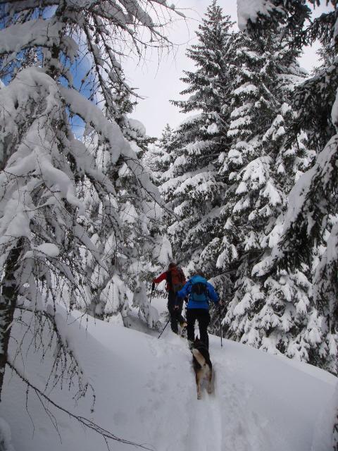 Preineckkogel (15).JPG