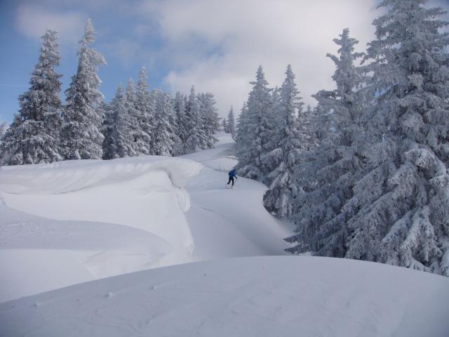 Preineckkogel (22).JPG