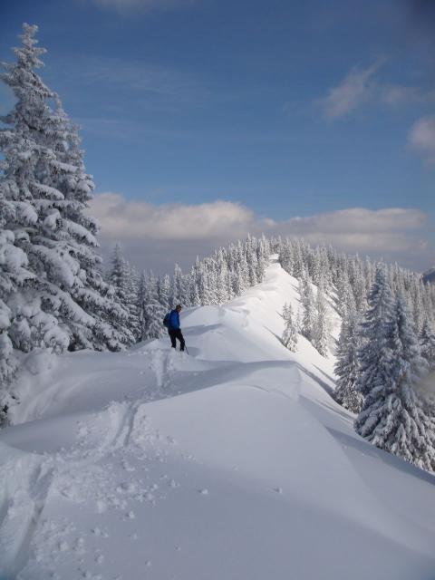 Preineckkogel (28).JPG