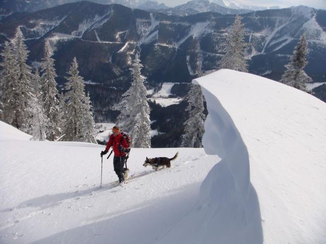 Preineckkogel (65).JPG