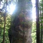 in der Nähe der Steinwandklamm