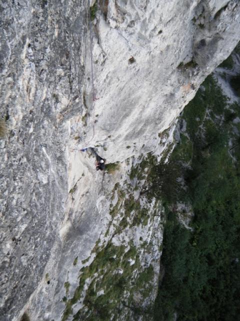 Blechmauernverschneidung Flo&Kurtl 14