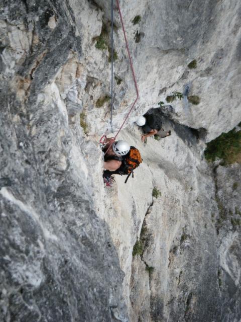 Blechmauernverschneidung Flo&Kurtl 16