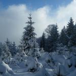 Unterberg Niederösterreich 1342m