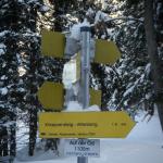 Schneealpe_12_2010 003