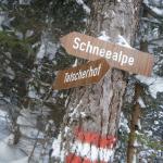 Schneealpe_12_2010 015