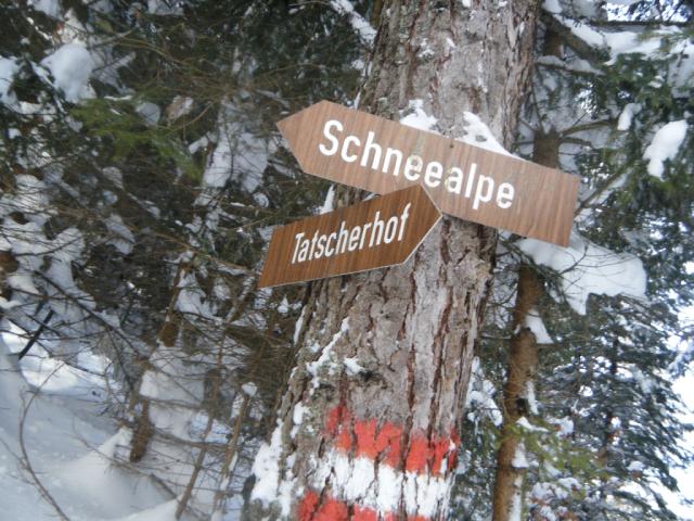 Schneealpe_12_2010 015