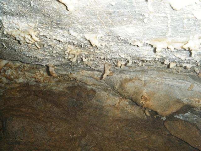 Schachernhöhle 2011 40