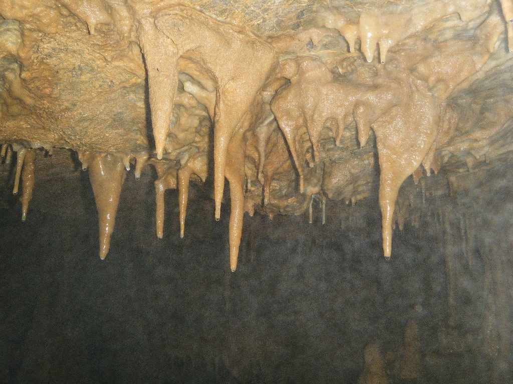 Schachernhöhle 2011 42