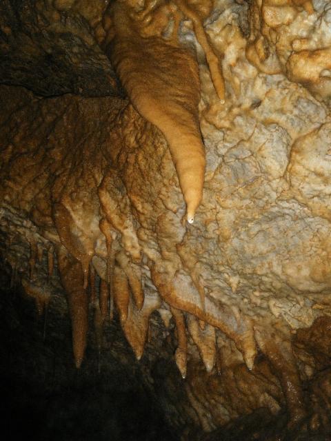 Schachernhöhle 2011 52