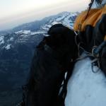 64 Eiger Nordwand 2011