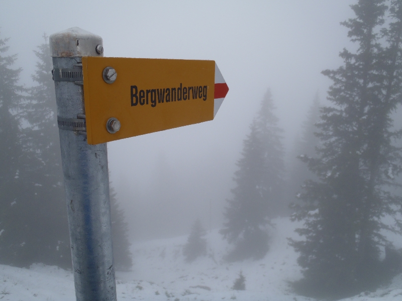 Kandersteg Klettersteig 31