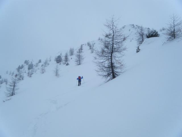 1 Öfehspitze 2334m