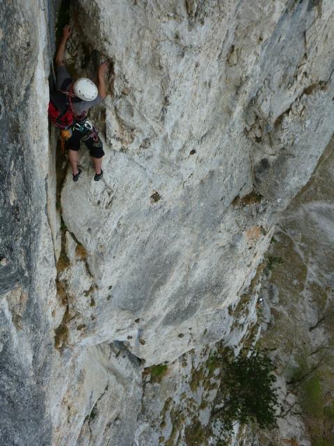 10 Blechmauernverschneidung 2012