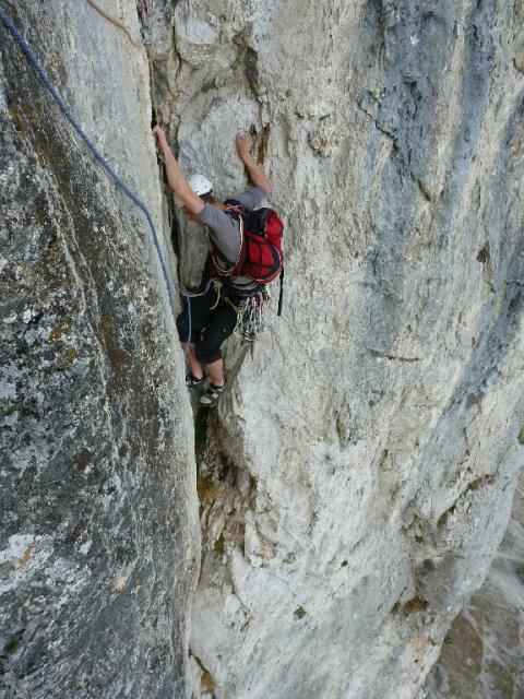 13 Blechmauernverschneidung 2012