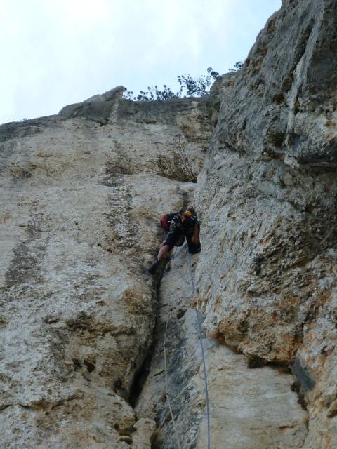 21 Blechmauernverschneidung 2012