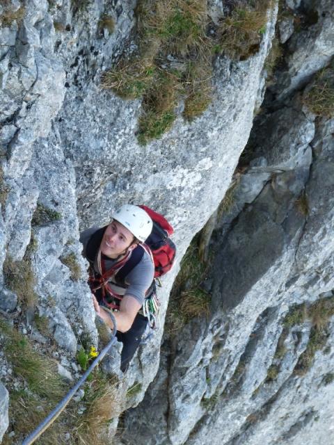 23 Blechmauernverschneidung 2012