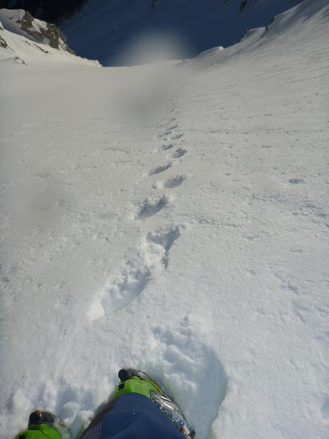 7 Festenkogel 2013