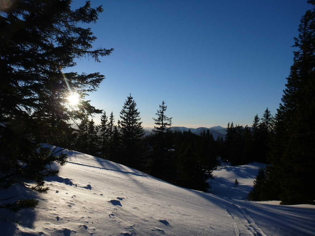 jungfräulicher Wurzengraben