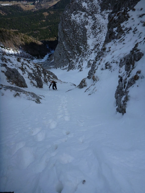 5 Schneckenhäusel 2014