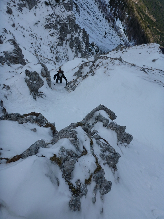 10 Schneckenhäusel 2014