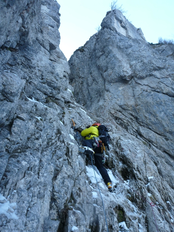 10 Kahlmäuer 2014