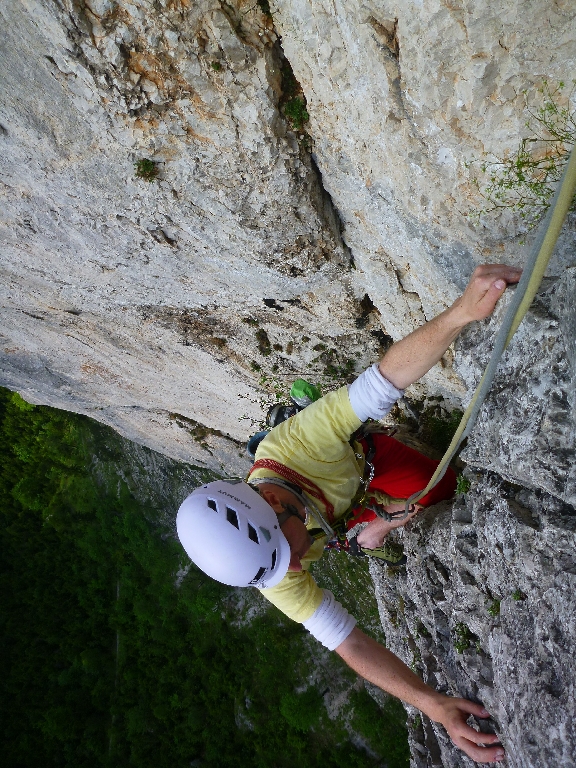 28 Blechmauernverschneidung var. mit Peter 2014