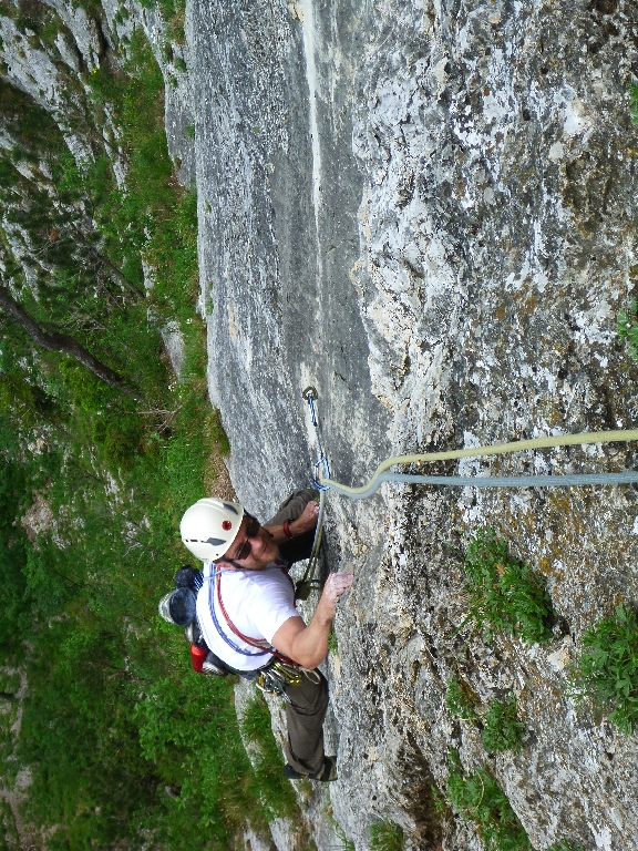 9 Nico in Blechmauernverschneidung 2014