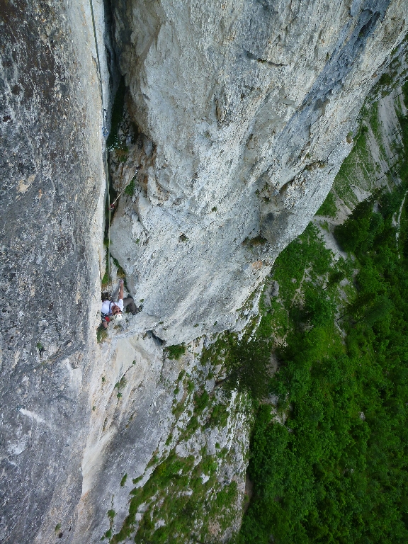 20 Nico in Blechmauernverschneidung 2014