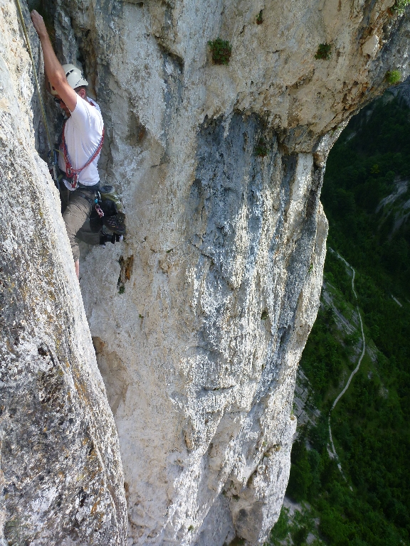 37 Nico in Blechmauernverschneidung 2014