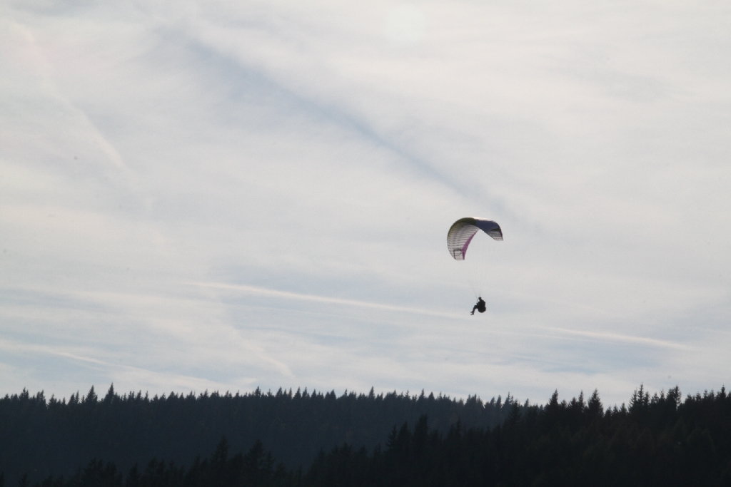 19 Höhenflug Hohe Wand 17_2014