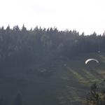 19 Höhenflug Hohe Wand 14_2014