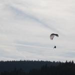 19 Höhenflug Hohe Wand 17_2014