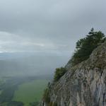 21 Zukunftsweiser bei Regen mit Conny