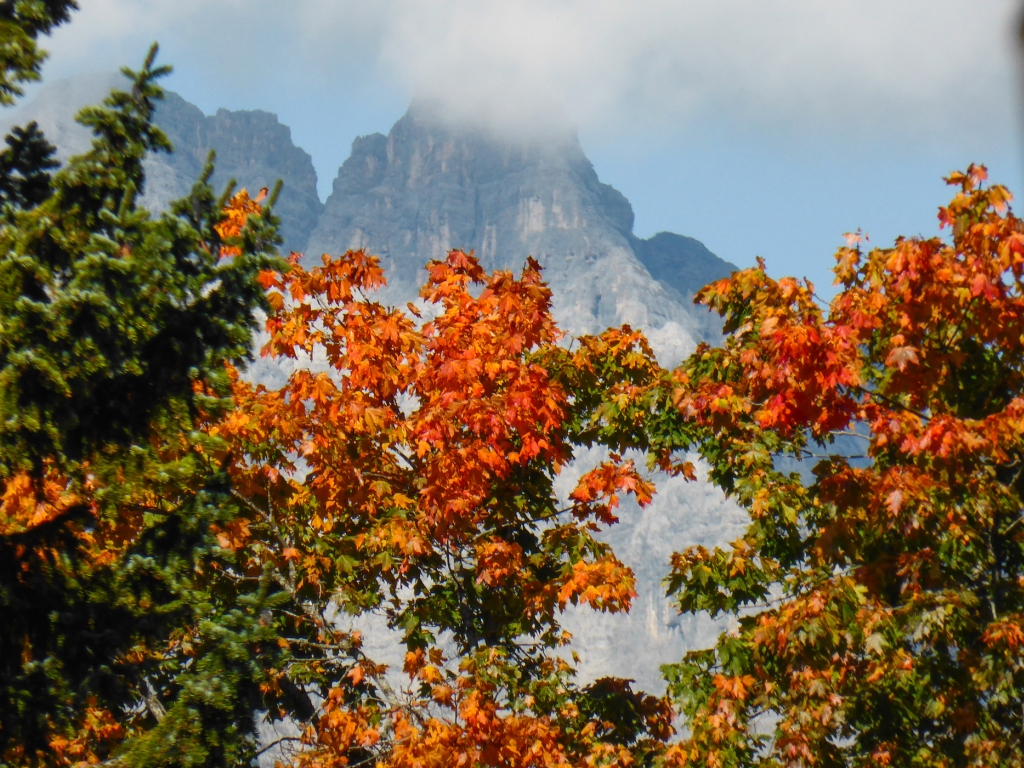 23 Seefeld - Härmelekopf Fly2014