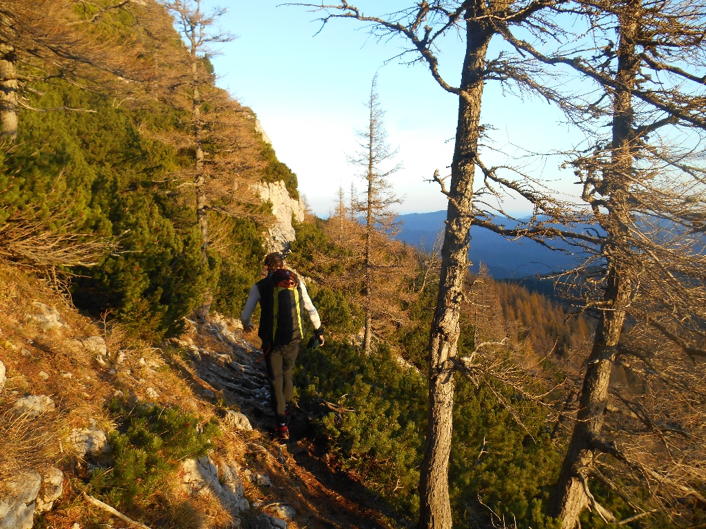 5 9 Schneebergflug Kaiserstein W