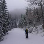 3 Wilder Zerbenriegel mit Markus