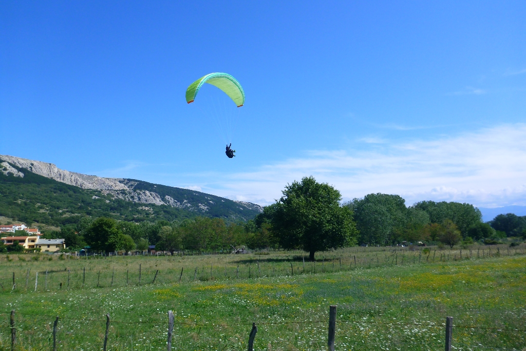 68 Fliegen Kroatien Krk 2015