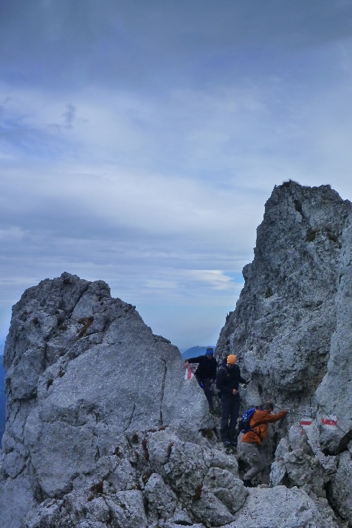 32 alter Herminensteig 2015 Ottobock