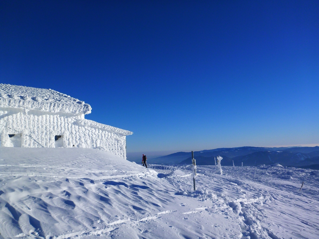 60. Schneebergflug 2