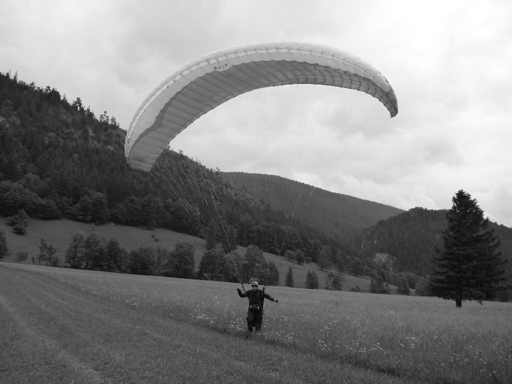 79. Schneebergflug 31