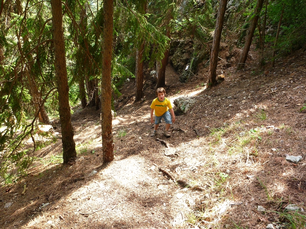 Wildenauer Klettersteig Hohe Wand 1