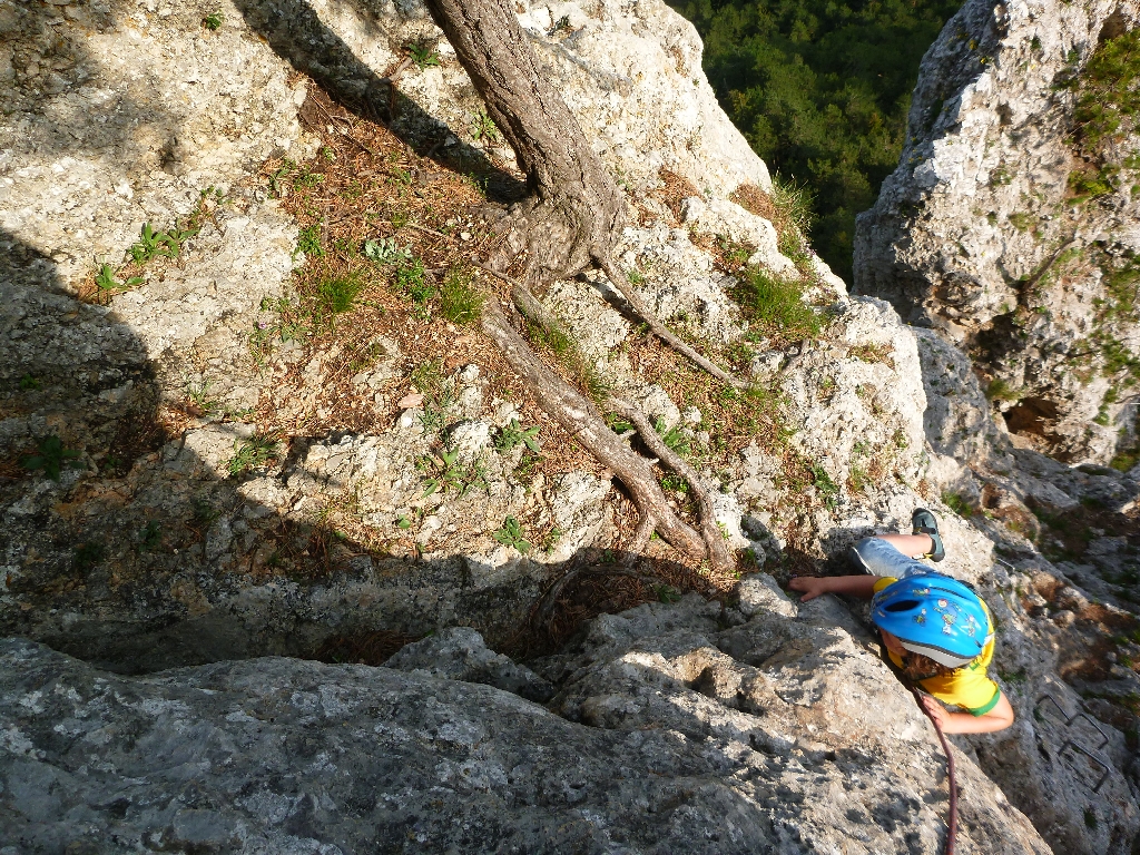 Wildenauer Klettersteig Hohe Wand 8