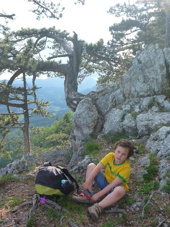 Wildenauer Klettersteig Hohe Wand 9