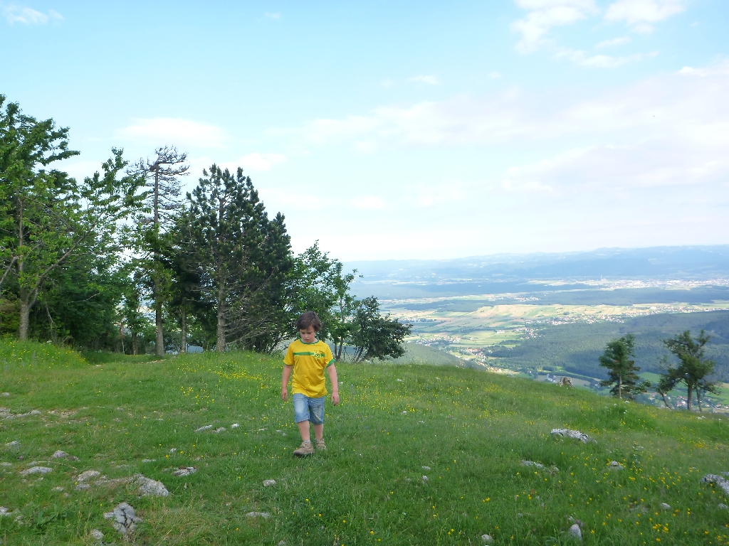 Wildenauer Klettersteig Hohe Wand 10