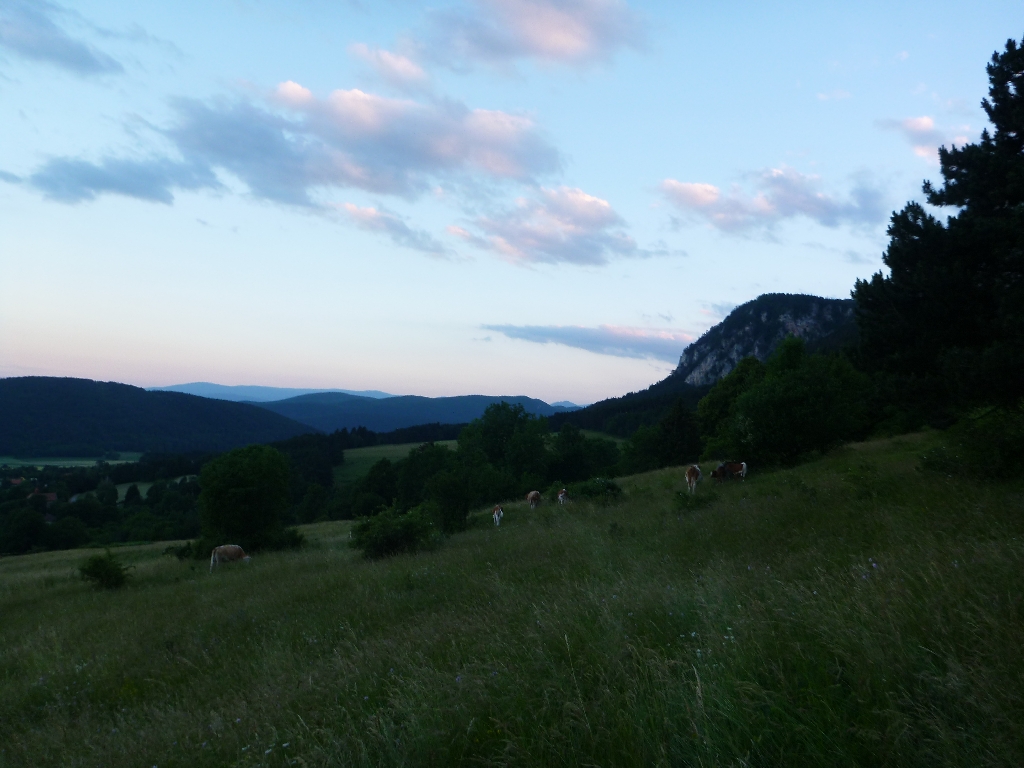 Wildenauer Klettersteig Hohe Wand 15